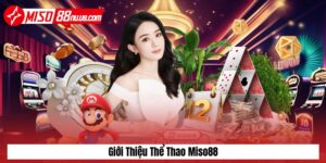 Giới thiệu về sảnh thể thao Miso88