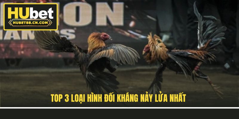 Top 3 loại hình đối kháng nảy lửa nhất